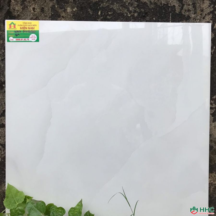 Gạch 60x60 TTC KA17PN66023